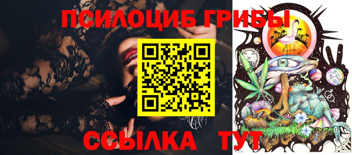 Псилоцибиновые грибы мухоморы Кингисепп