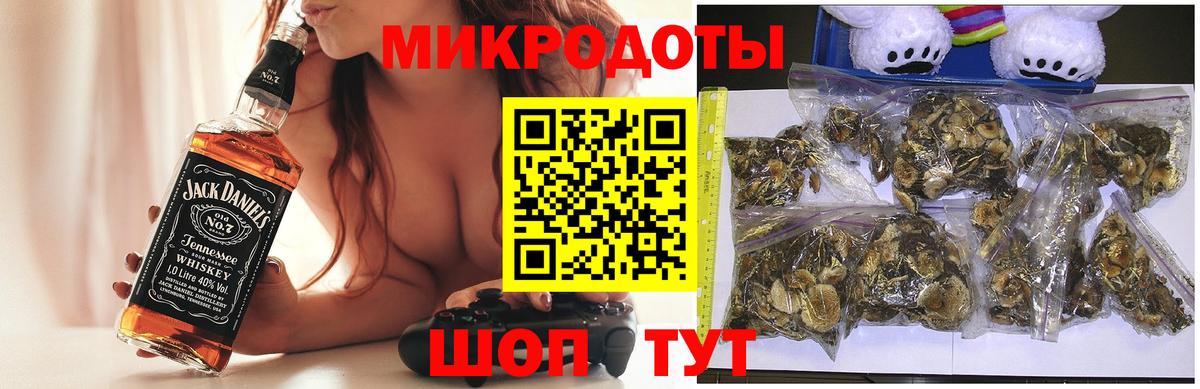 Галлюциногенные грибы Psilocybine cubensis  Вход с VPN  Кингисепп 
