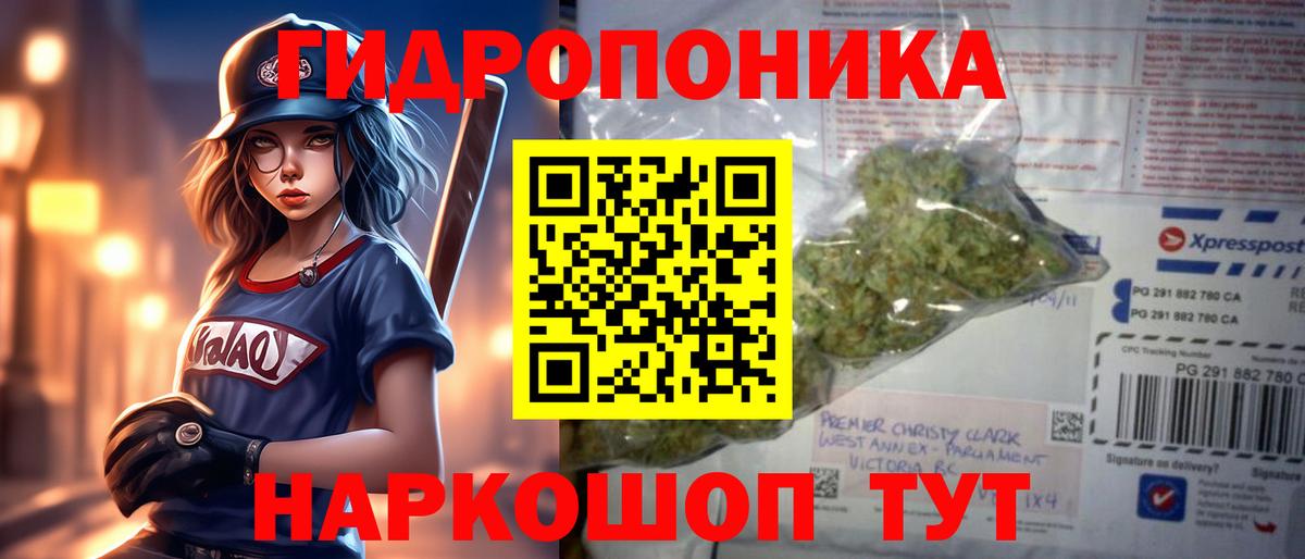 Каннабис White Widow  Вход с VPN  Шишки марихуана AK-47  Канабис сатива  Кингисепп 